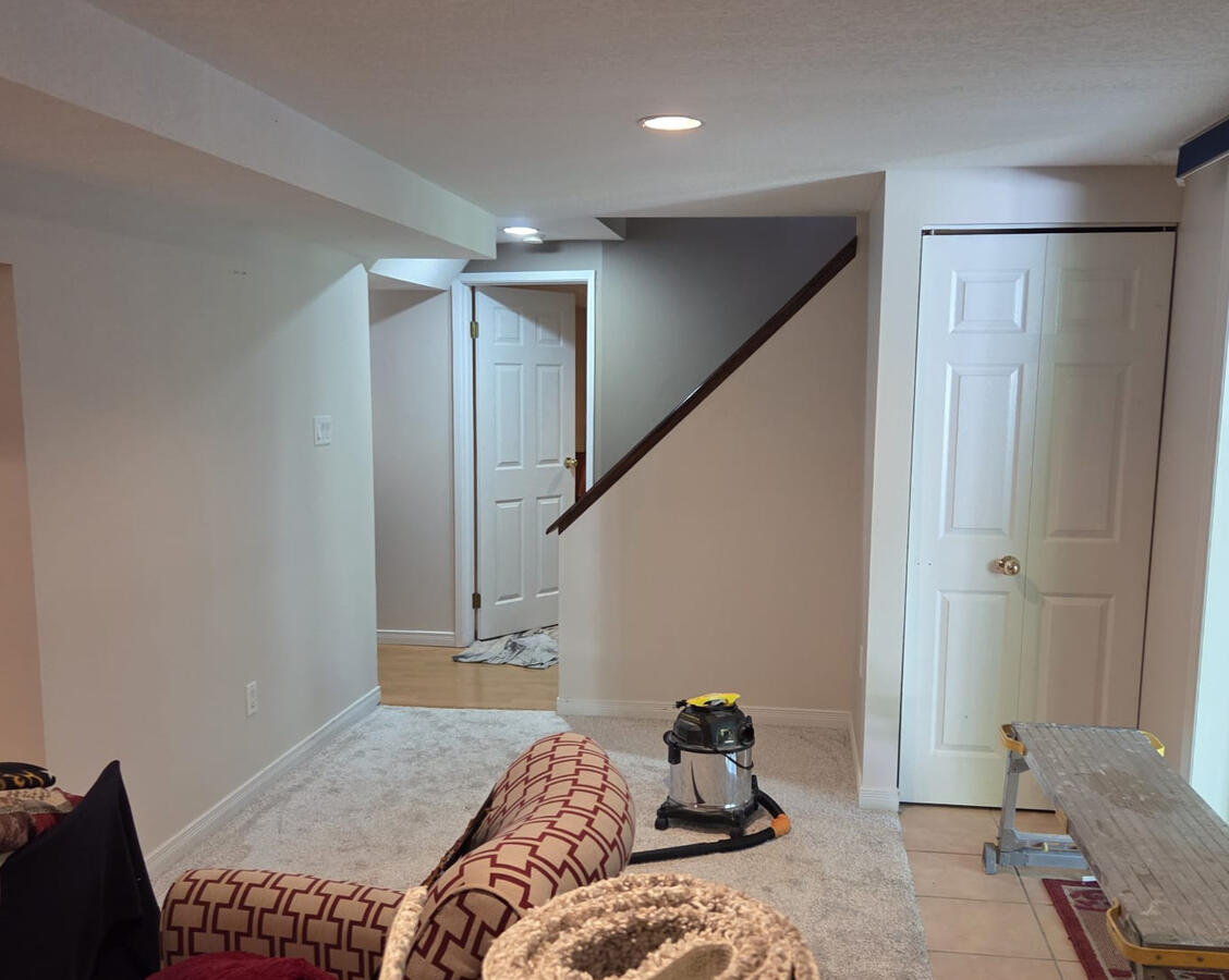 Basement After Hiring Fresh Mint Painting